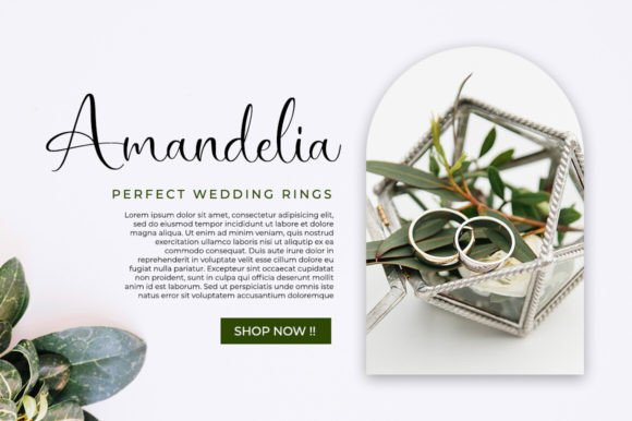 Biancalisa Font PNG with transparent background - Preview 2