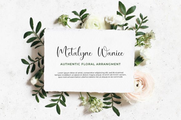 Biancalisa Font PNG with transparent background - Preview 4