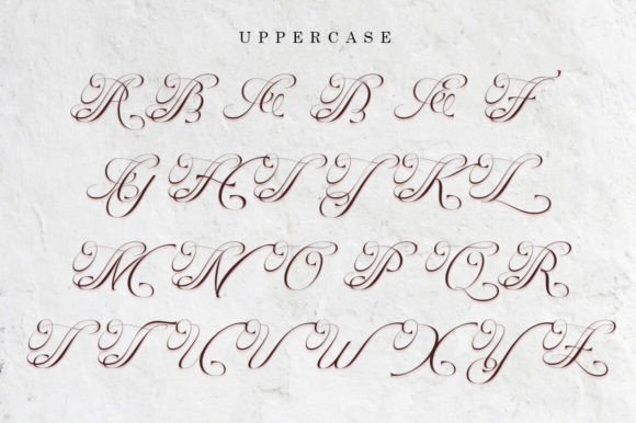 Cardilan Font - Preview 5