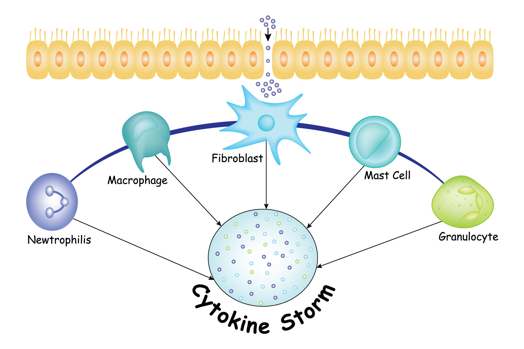 Cytokine Storm Science Design Vector Graphic by hamjaiu · Creative Fabrica