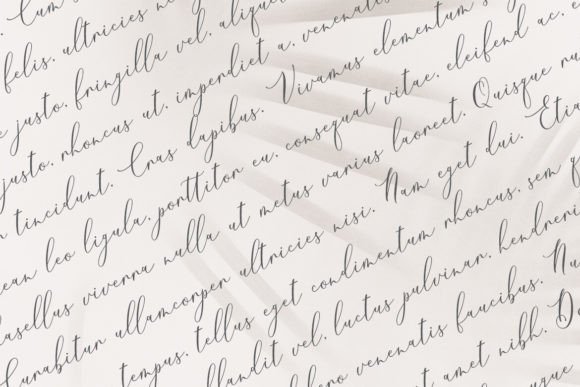 Hemilia Font PNG with transparent background - Preview 3