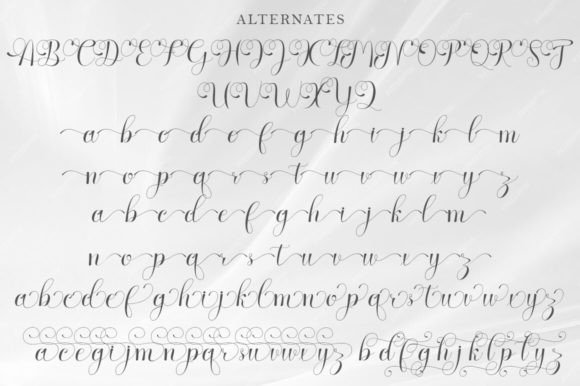 Anglisa Font - Preview 2