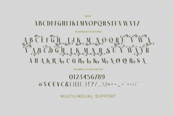 Britnes Grade Font - Preview 6