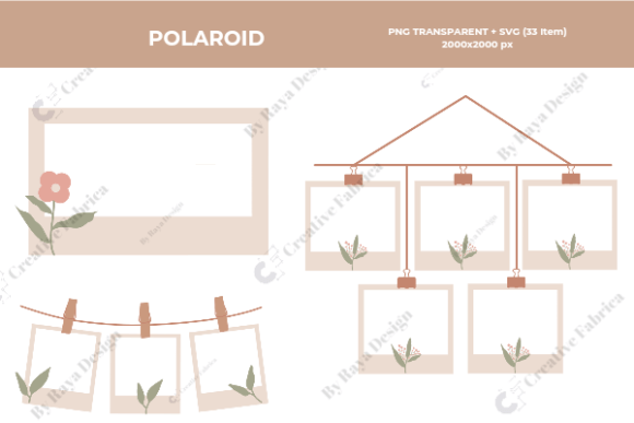 Polaroid Collections