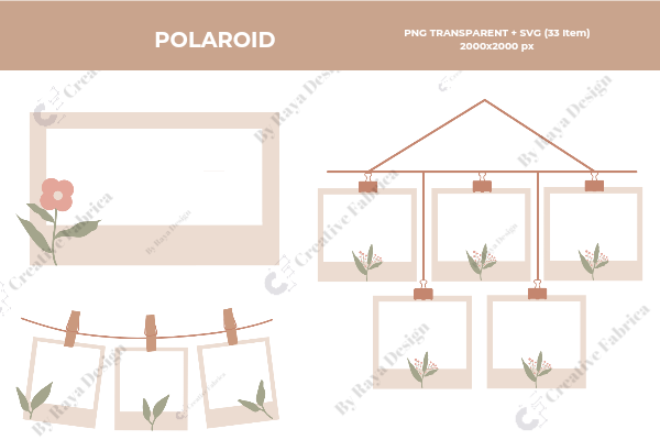 Polaroid Collections