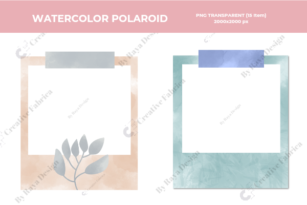 Polaroid Collections