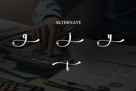 Budgetary Font - Preview 6