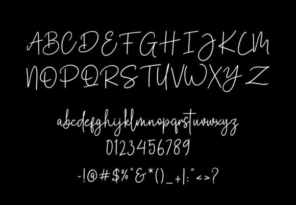 Premium Signature Font PNG with transparent background - Preview 3