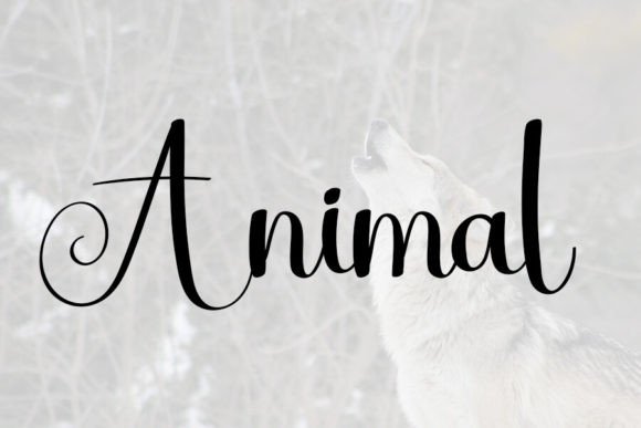 Autography Font - Preview 1