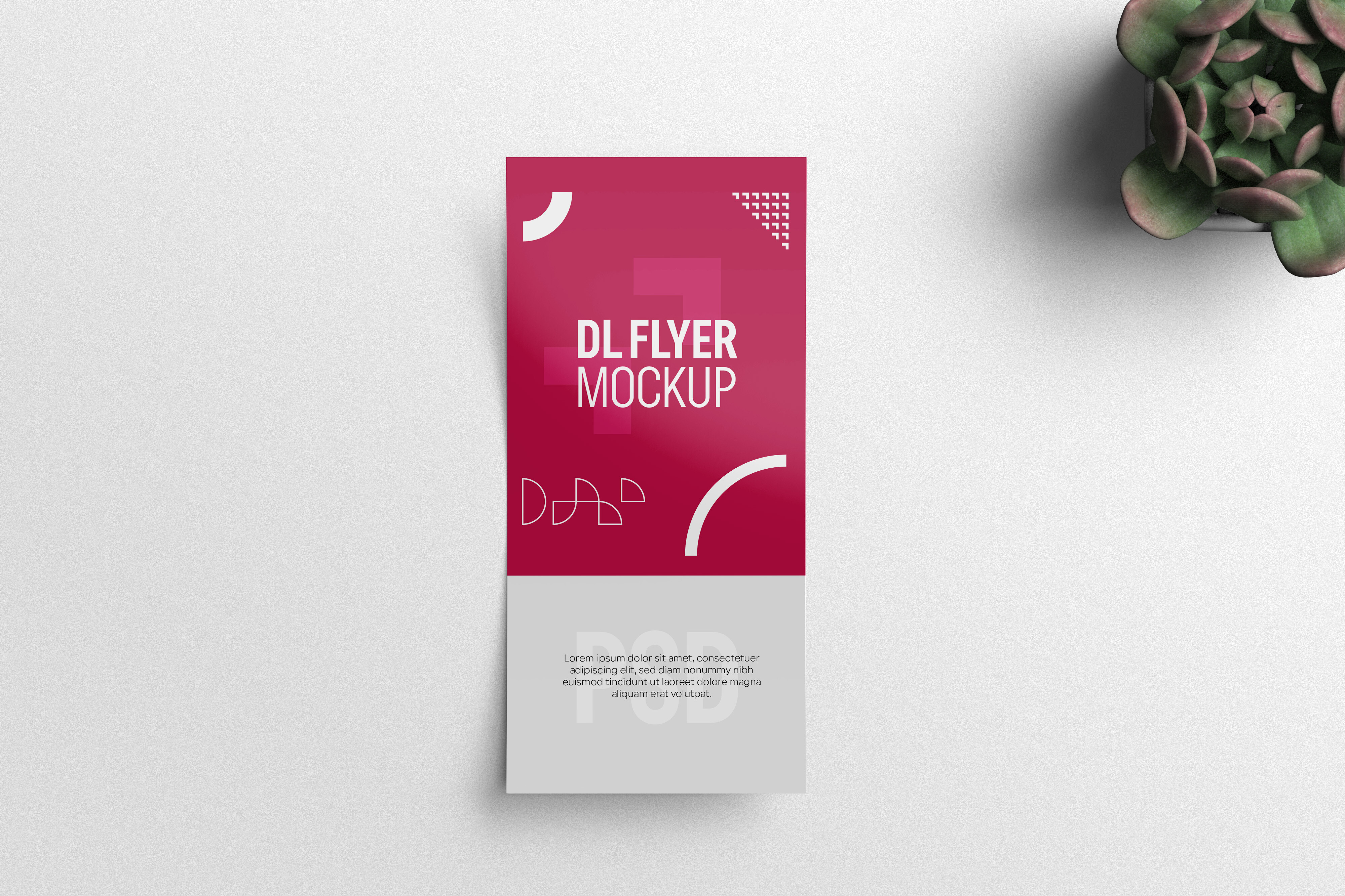 DL Flyer Mockup Graphic by prextheme · Creative Fabrica
