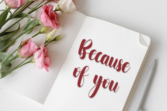 House Vintage Font - Preview 2