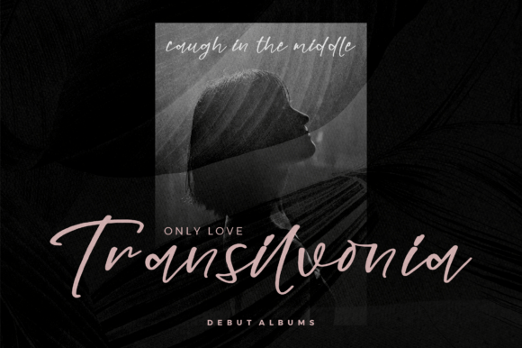 Alonsita Gilbert Font - Preview 2