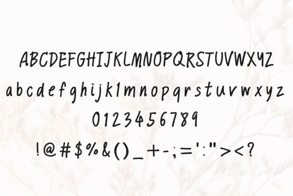 Catalina Font - Preview 5
