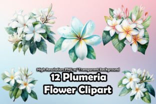 12 Plumeria Flower Clipart PNG Graphic by printztopbrand · Creative Fabrica
