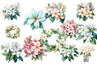12 Plumeria Flower Clipart PNG Graphic by printztopbrand · Creative Fabrica