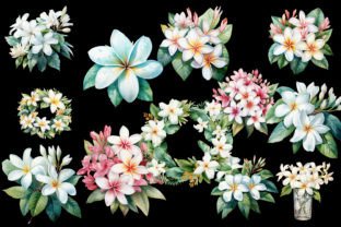 12 Plumeria Flower Clipart PNG Graphic by printztopbrand · Creative Fabrica