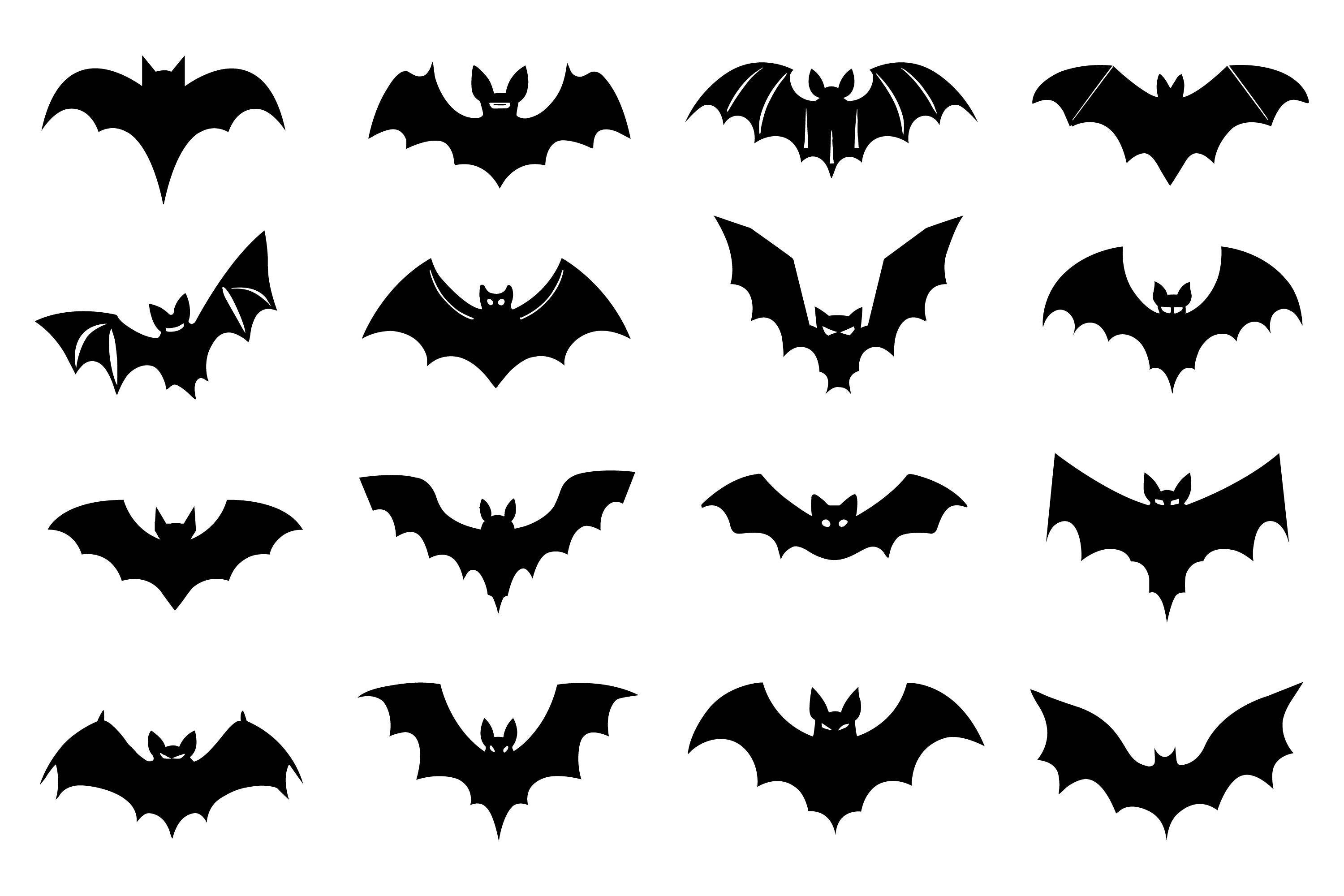 Bats