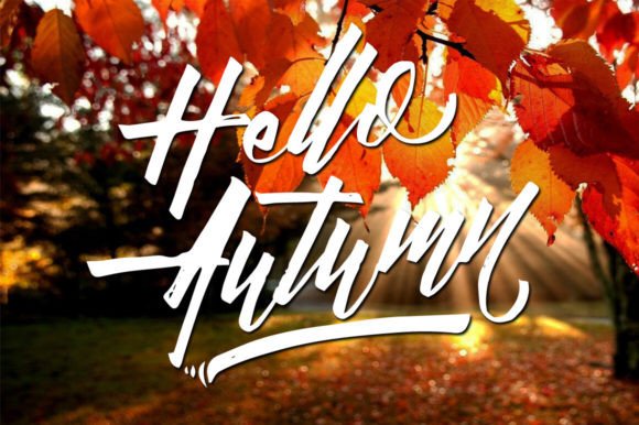 Daily Hustle Font - Preview 4