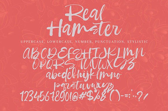 Real Hamster Font PNG with transparent background - Preview 5