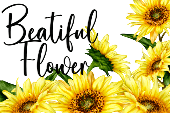 Calligraphy Font - Preview 1