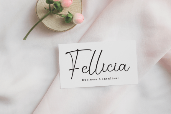 Audrina Signature Font PNG with transparent background - Preview 3
