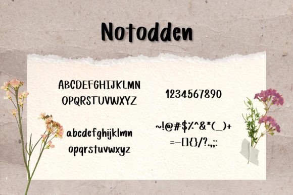 Notodden Font PNG with transparent background - Preview 3