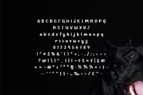 Bad Dog Font - Preview 3