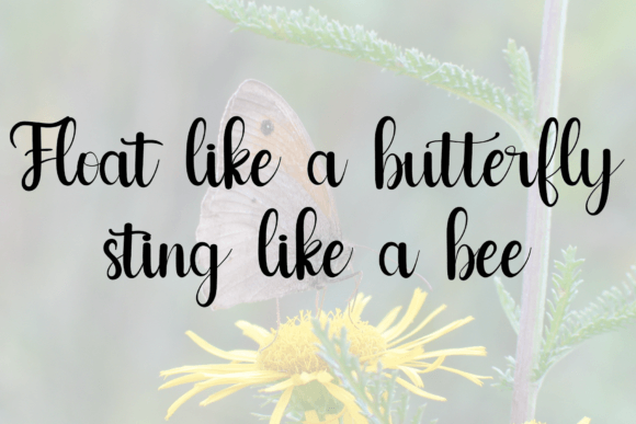 Butterfly Font - Preview 2