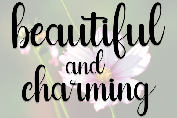 Butterfly Font - Preview 3