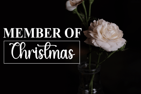 Elegant Christmas Font - Preview 6