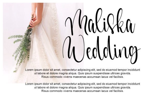 Elegant Font - Preview 2