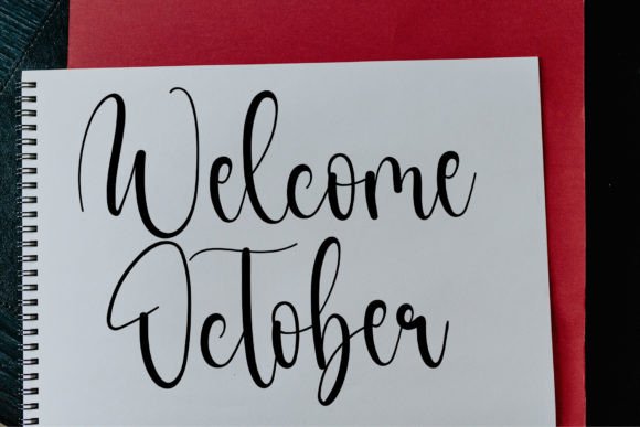Elegant Font - Preview 3