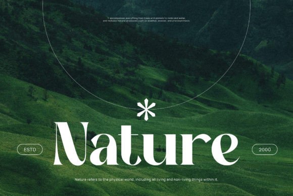 Nampy Font font preview - 6