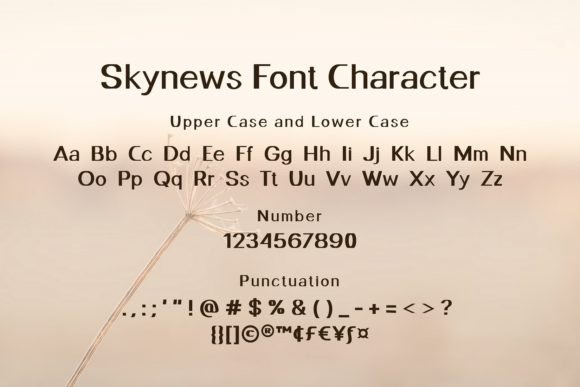 Skynews Font PNG with transparent background - Preview 4