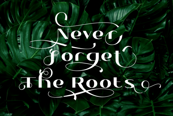 Lorie Bacque Font PNG with transparent background - Preview 1