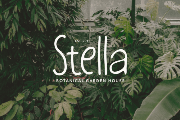 Dorniela Font - Preview 3