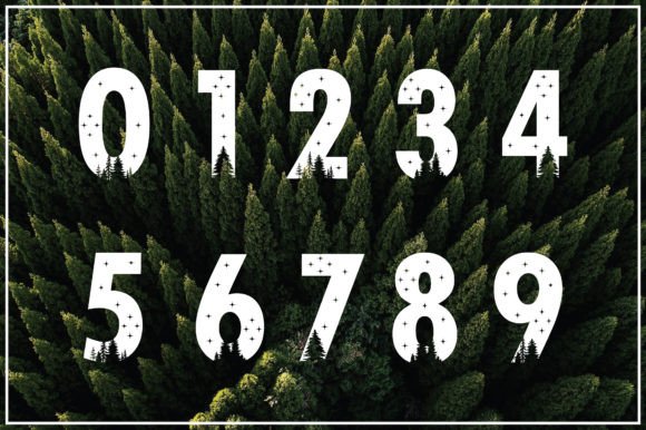 Forest Font - Preview 2