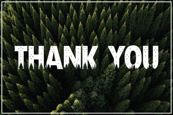 Forest Font - Preview 3