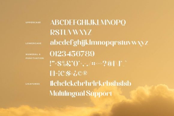 Alesha Font - Preview 6