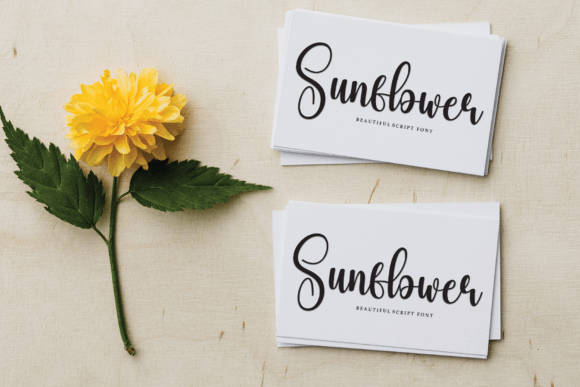 Boninter Font - Preview 3