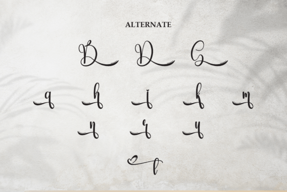 Boninter Font - Preview 5