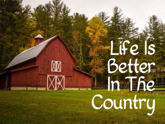 Country Home Font PNG with transparent background - Preview 4