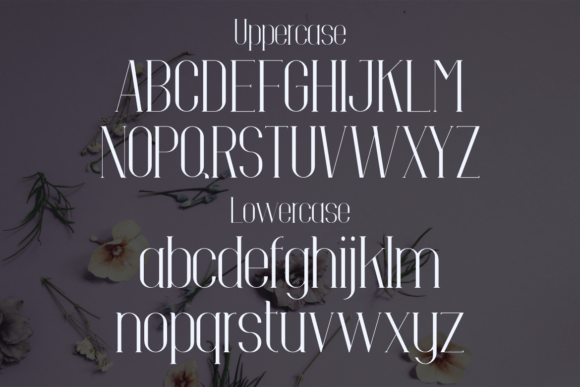 Ditalya Font - Preview 1