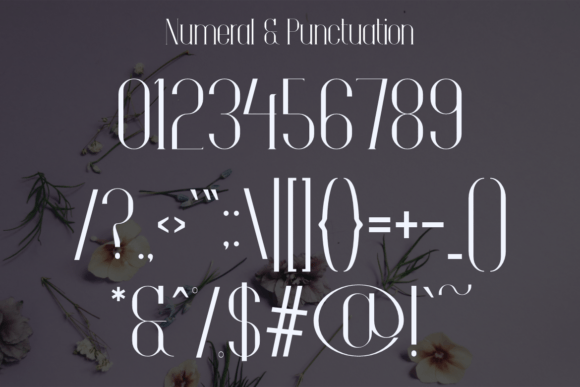 Ditalya Font - Preview 5