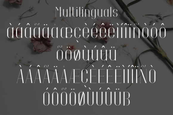 Ditalya Font - Preview 6
