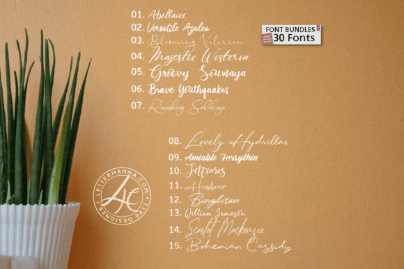 Handwritten Bundle Font PNG with transparent background - Preview 2