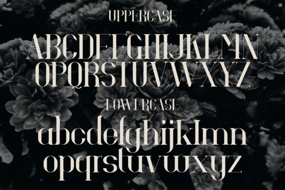 Hevaline Font PNG with transparent background - Preview 2