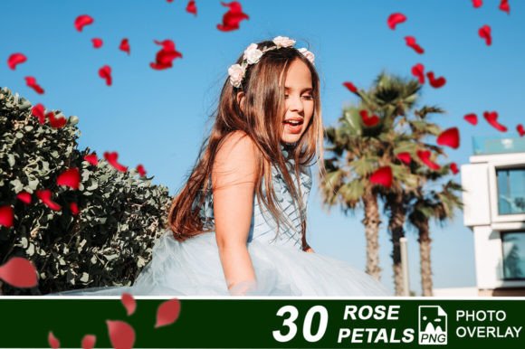 30 Rose Petals PNG Photo Overlay Graphic Crafts By Jacpot07