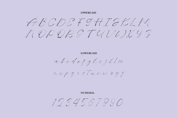 Bouquet Guides Font Font - Preview 5