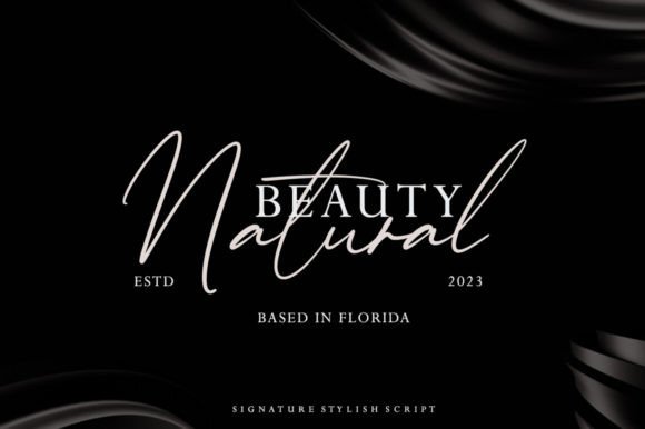 Handsome Signature Font - Preview 2